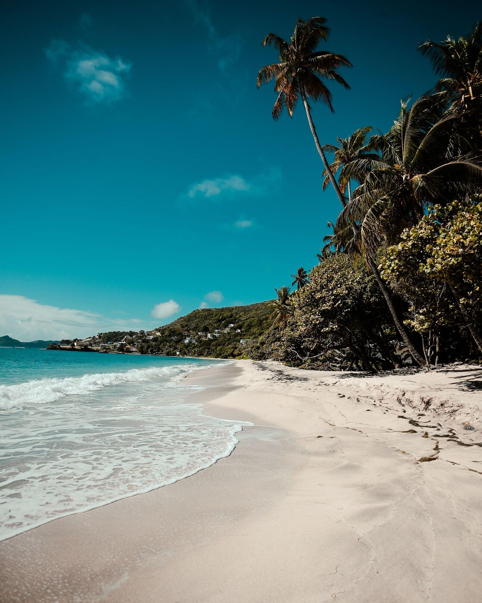 Bequia Beach Port Elizabeth Exterior foto
